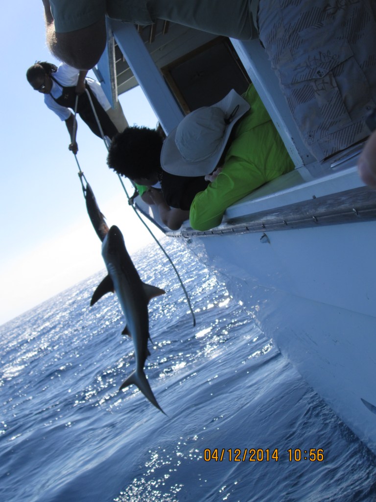 14-Cruise-Celebration 4-11-14 085